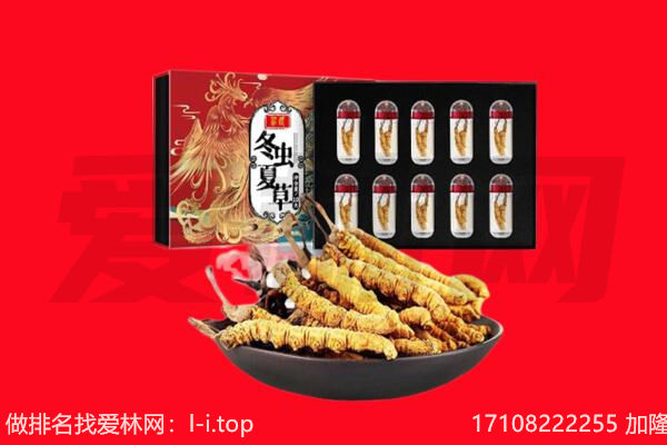 广州市南沙回收虫草.jpg